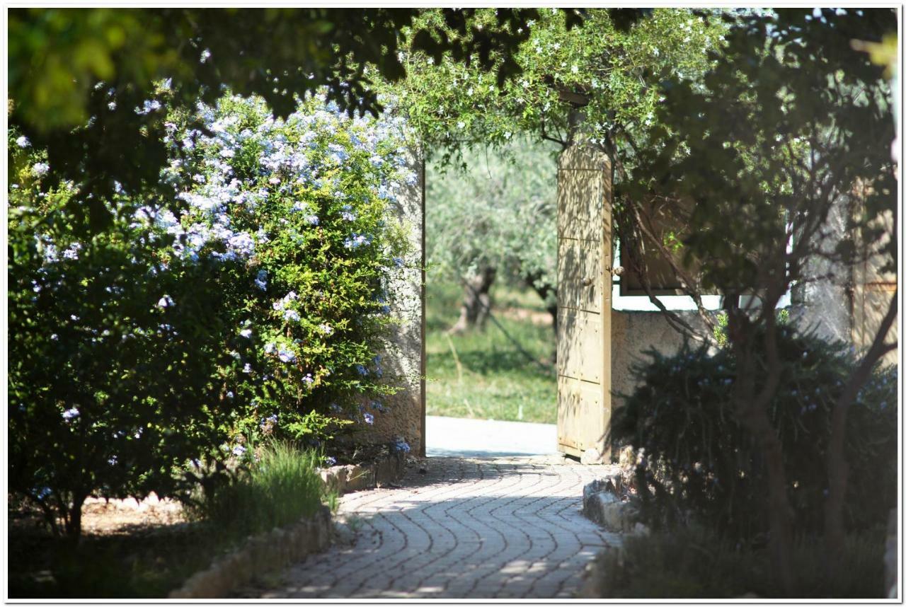 Cozy Home With Great View In Ancient Corinth Exteriér fotografie
